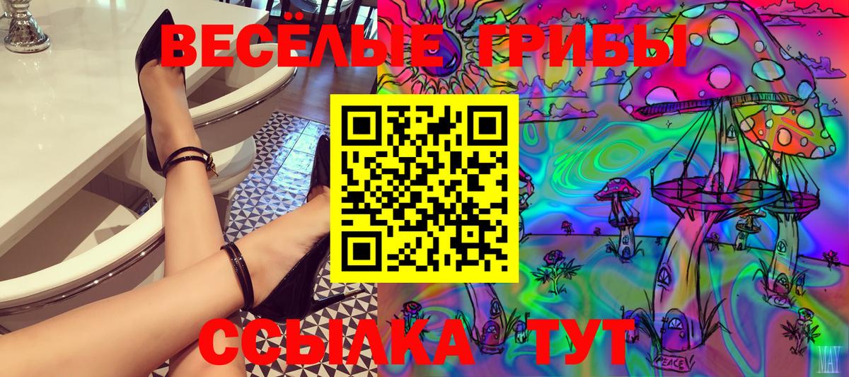 Псилоцибиновые грибы MAGIC MUSHROOMS Корсаков